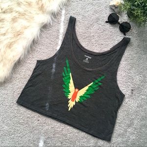 Maverick by Logan Paul Crop Top